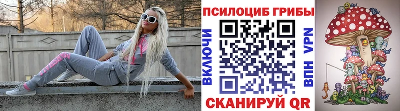 купить наркоту  Задонск  omg маркетплейс  Галлюциногенные грибы мицелий 